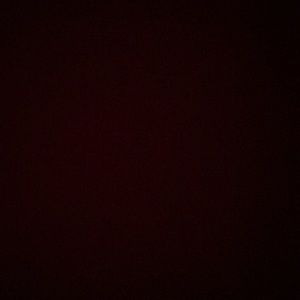 Meet your Posher, Lola